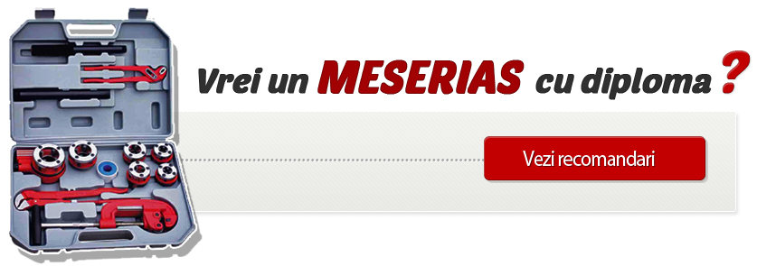 Banner Meseriasii